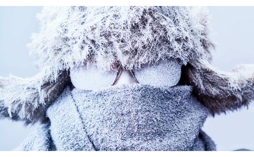 Что делать при переохлаждениях и обморожениях. ПАМЯТКА.