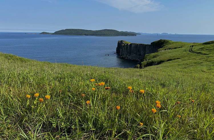 Морские и лесные прогулки, чтение у костра: какой отдых в Приморье по душе людям. ОПРОС.