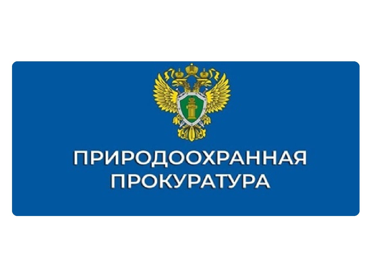 Владивостокская межрайонная природоохранная прокуратура разъясняет полномочия природоохранных прокуроров в сфере противодействия коррупции.