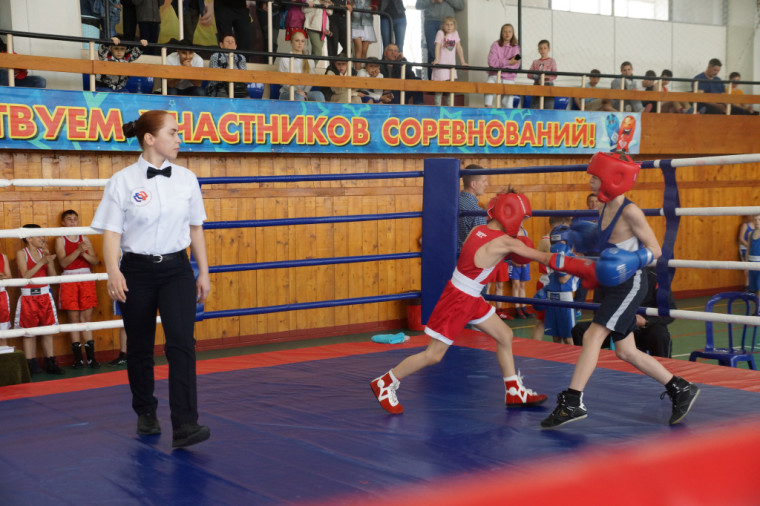 Состоялся турнир по боксу «Первая перчатка».